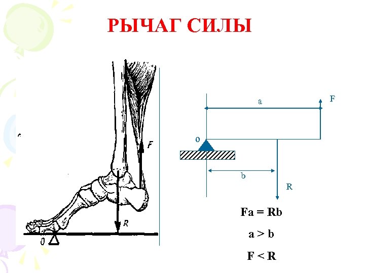 РЫЧАГ СИЛЫ F а о b R Fa = Rb a > b F