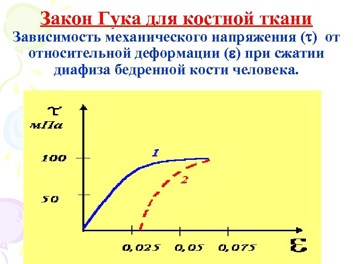 Закон Гука для костной ткани Зависимость механического напряжения ( ) от относительной деформации (