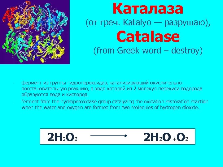 Каталаза (от греч. Katalуo — разрушаю), Catalase (from Greek word – destroy) - -