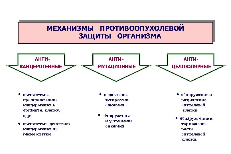 МЕХАНИЗМЫ ПРОТИВООПУХОЛЕВОЙ ЗАЩИТЫ ОРГАНИЗМА АНТИ- КАНЦЕРОГЕННЫЕ · препятствие проникновению канцерогенов в организм, клетку, ядро