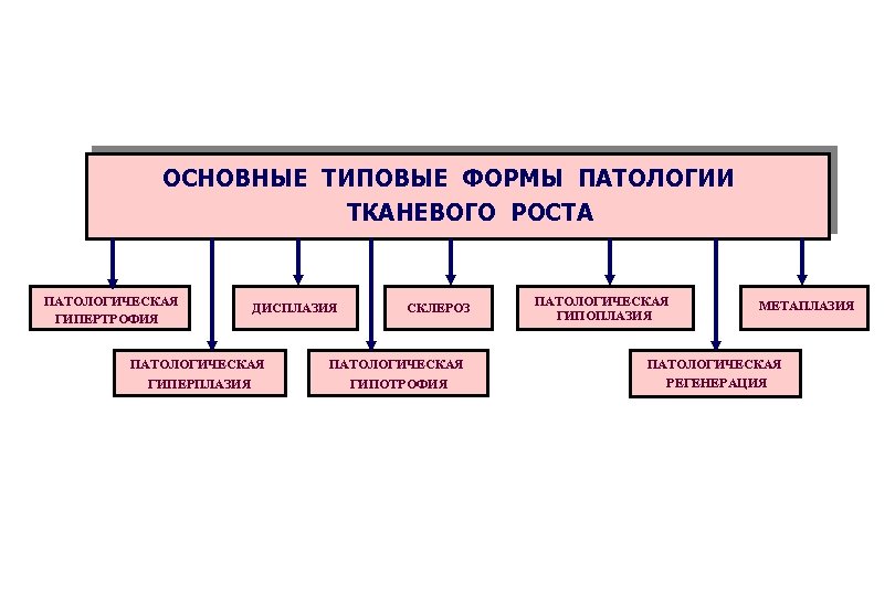 Формы патологии