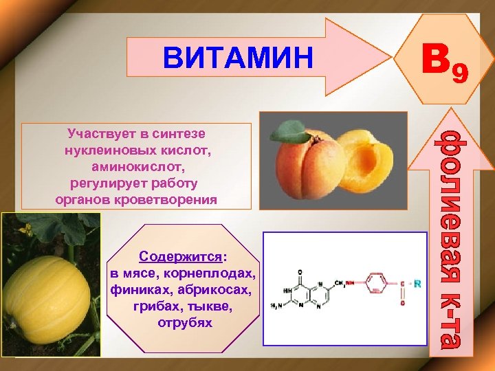 ВИТАМИН Участвует в синтезе нуклеиновых кислот, аминокислот, регулирует работу органов кроветворения Содержится: в мясе,