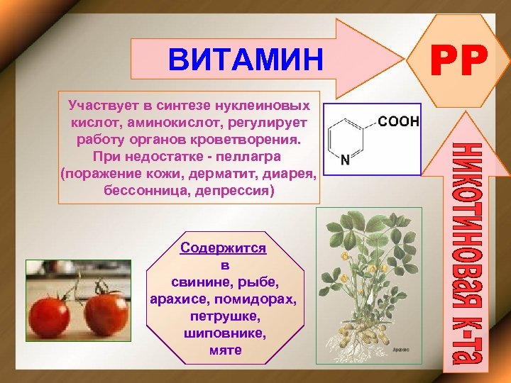 ВИТАМИН Участвует в синтезе нуклеиновых кислот, аминокислот, регулирует работу органов кроветворения. При недостатке -