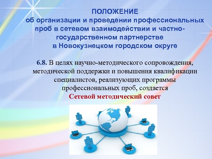 ПОЛОЖЕНИЕ об организации и проведении профессиональных проб в сетевом взаимодействии и частногосударственном партнерстве в