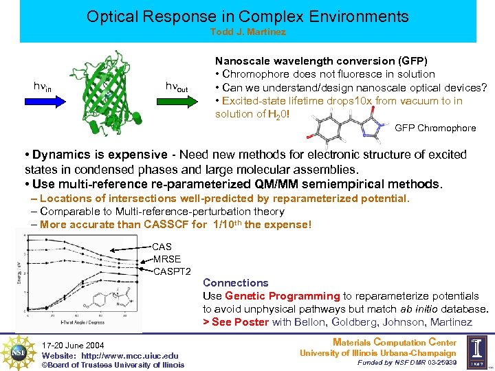 Optical Response in Complex Environments Todd J. Martinez h in h out Nanoscale wavelength