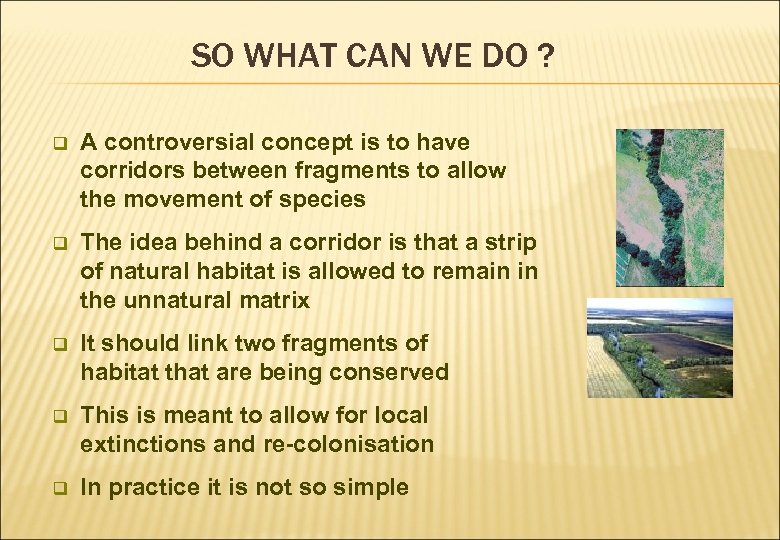 SO WHAT CAN WE DO ? q A controversial concept is to have corridors