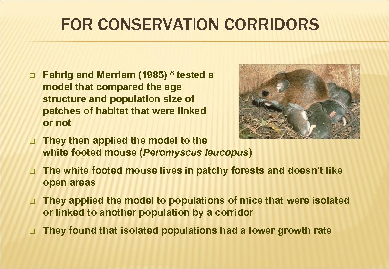 FOR CONSERVATION CORRIDORS q Fahrig and Merriam (1985) 8 tested a model that compared