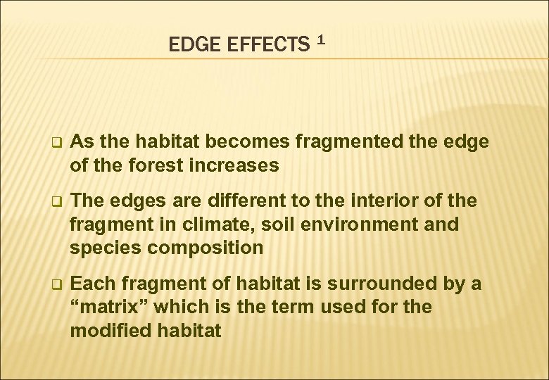 EDGE EFFECTS 1 q As the habitat becomes fragmented the edge of the forest