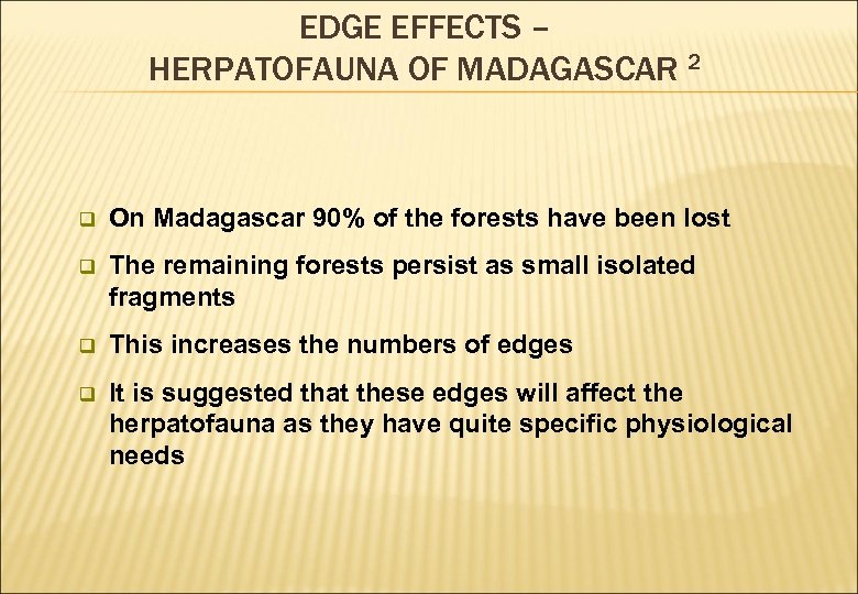 EDGE EFFECTS – HERPATOFAUNA OF MADAGASCAR 2 q On Madagascar 90% of the forests