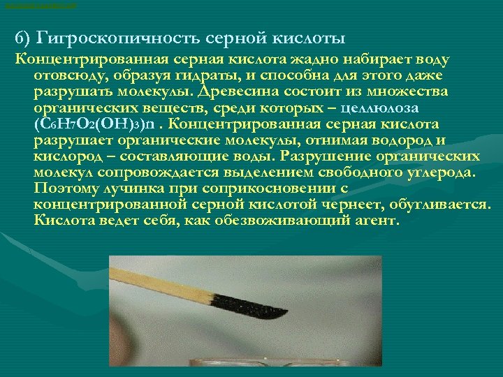 ВАСИЛИЙ КАДЕВИЧ 2008 6) Гигроскопичность серной кислоты Концентрированная серная кислота жадно набирает воду отовсюду,