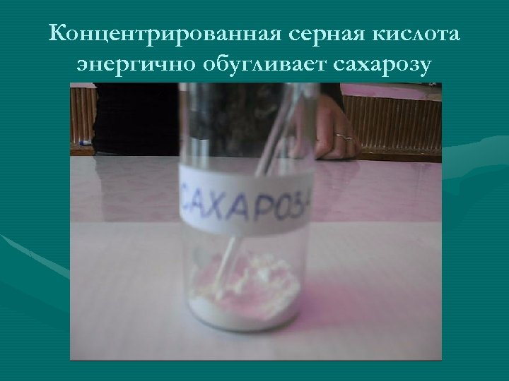 Концентрированная серная кислота энергично обугливает сахарозу 