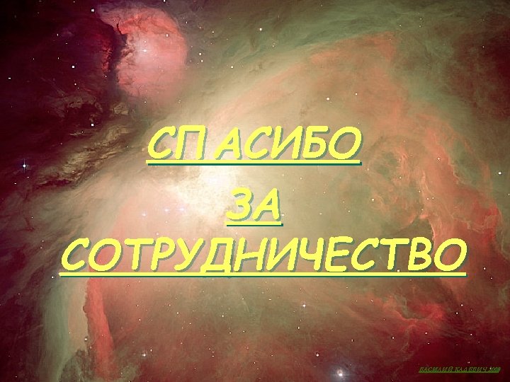 СПАСИБО ЗА СОТРУДНИЧЕСТВО ВАСИЛИЙ КАДЕВИЧ 2008 