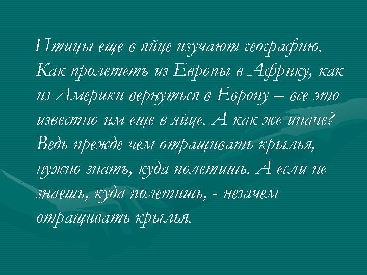 Птицы еще в яйце изучают географию. Как пролететь из Европы в Африку, как из
