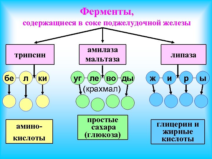 Ферменты, содержащиеся в соке поджелудочной железы трипсин бе л ки аминокислоты амилаза мальтаза уг