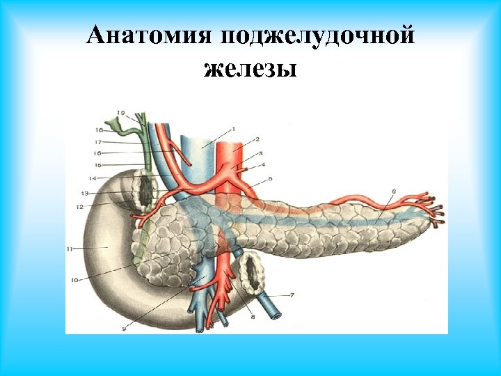 Острый панкреатит карта больного