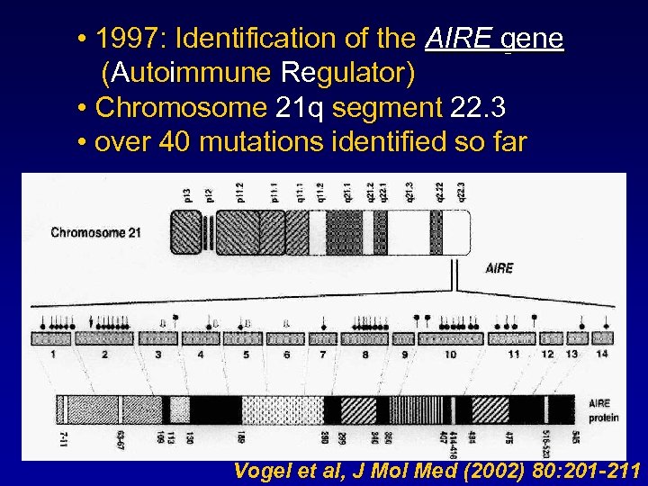  • 1997: Identification of the AIRE gene (Autoimmune Regulator) • Chromosome 21 q