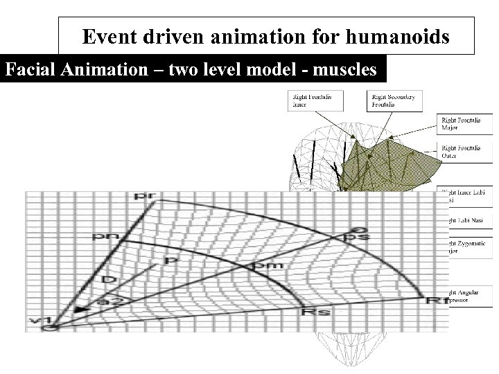 Event driven animation for humanoids Facial Animation – two level model - muscles 