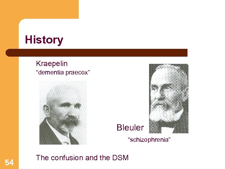 History Kraepelin “dementia praecox” Bleuler “schizophrenia” 54 The confusion and the DSM 
