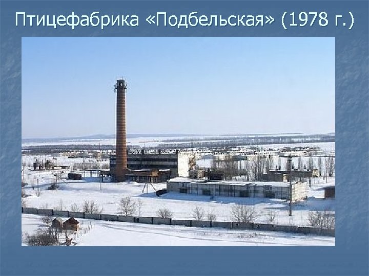 Птицефабрика «Подбельская» (1978 г. ) 