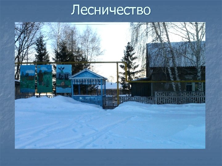 Лесничество 