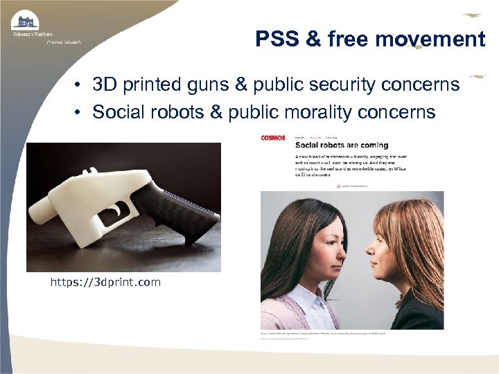 PSS & free movement • 3 D printed guns & public security concerns •