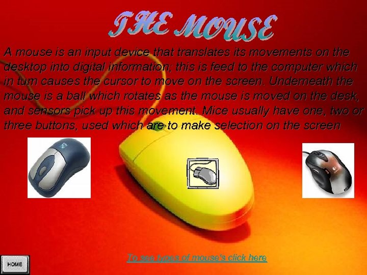 A mouse is an input device that translates its movements on the desktop into