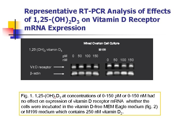 Representative RT-PCR Analysis of Effects of 1, 25 -(OH)2 D 3 on Vitamin D