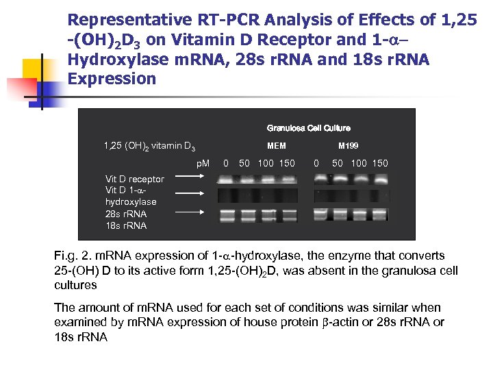 Representative RT-PCR Analysis of Effects of 1, 25 -(OH)2 D 3 on Vitamin D