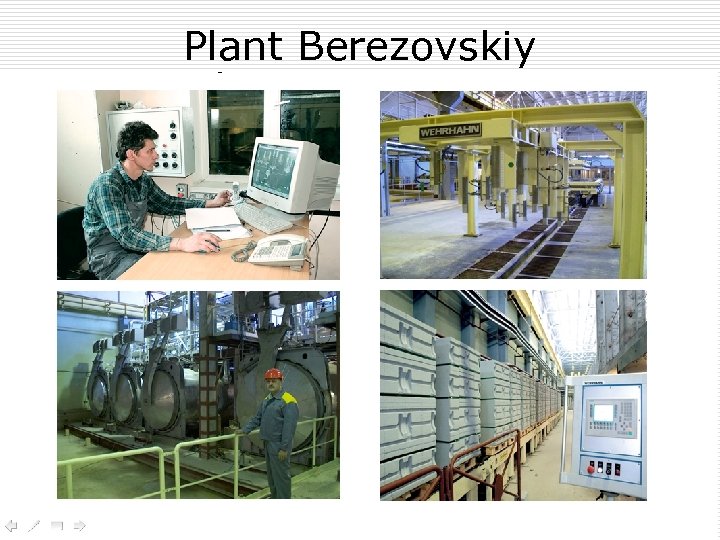 Plant Berezovskiy 