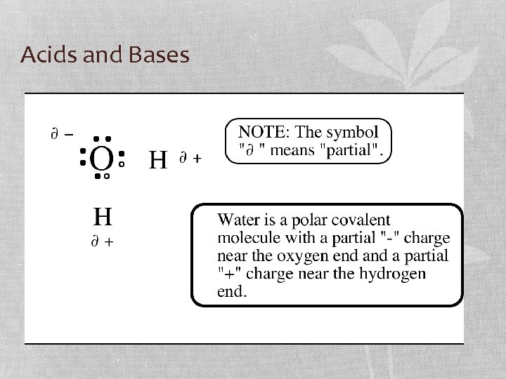 Acids and Bases 