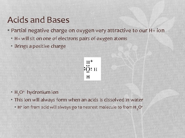 Acids and Bases • Partial negative charge on oxygen very attractive to our H+