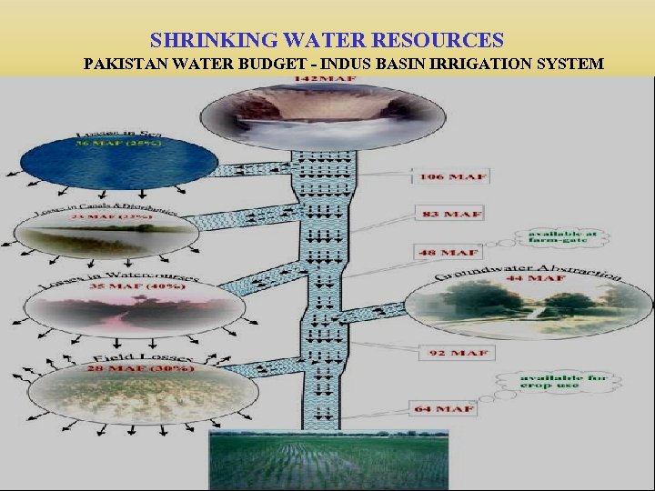 SHRINKING WATER RESOURCES PAKISTAN WATER BUDGET - INDUS BASIN IRRIGATION SYSTEM 