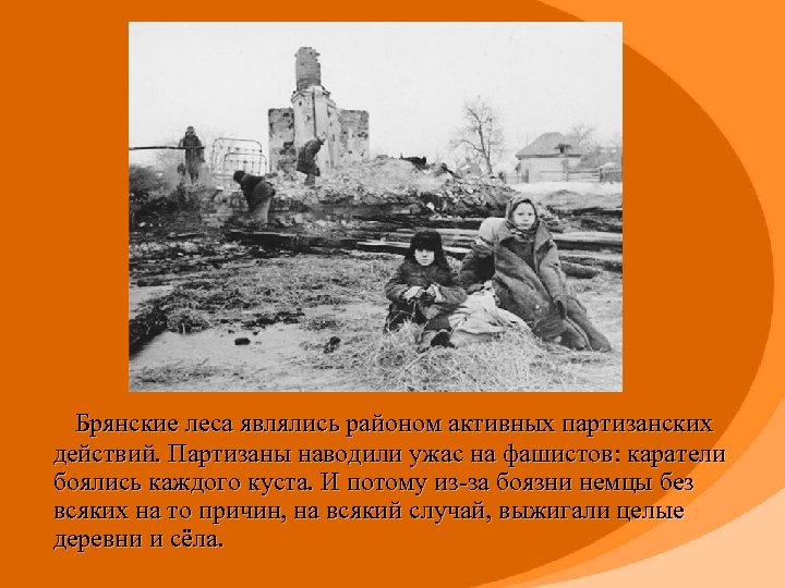  Брянские леса являлись районом активных партизанских действий. Партизаны наводили ужас на фашистов: каратели