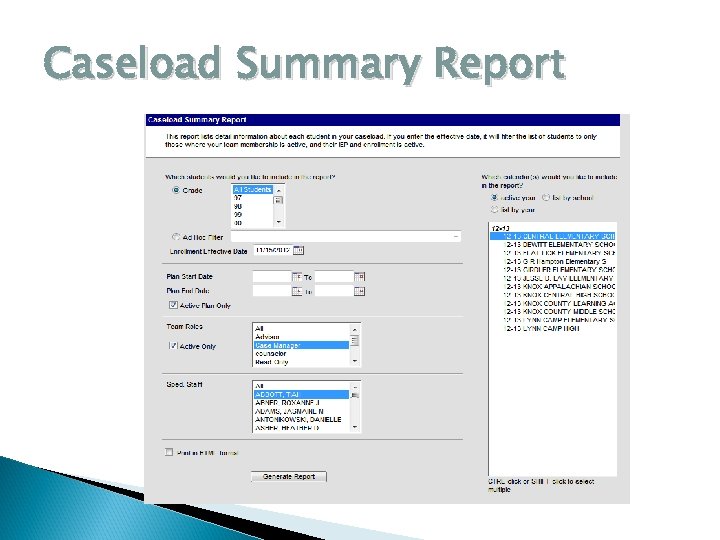 Caseload Summary Report 