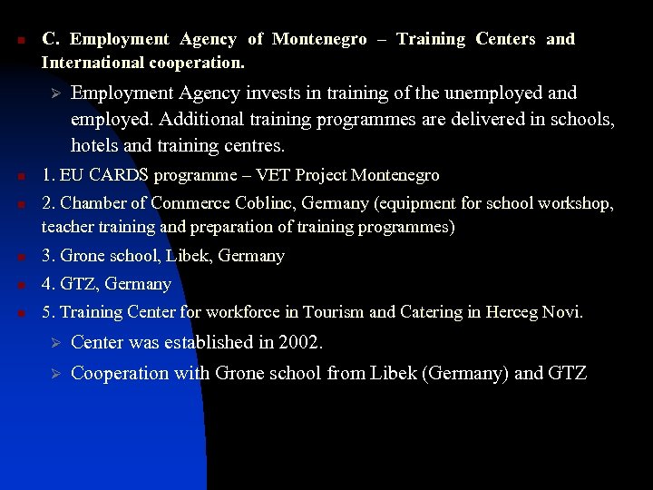 n C. Employment Agency of Montenegro – Training Centers and International cooperation. Ø n