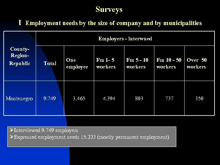 Surveys I Employment needs by the size of company and by municipalities Employers -