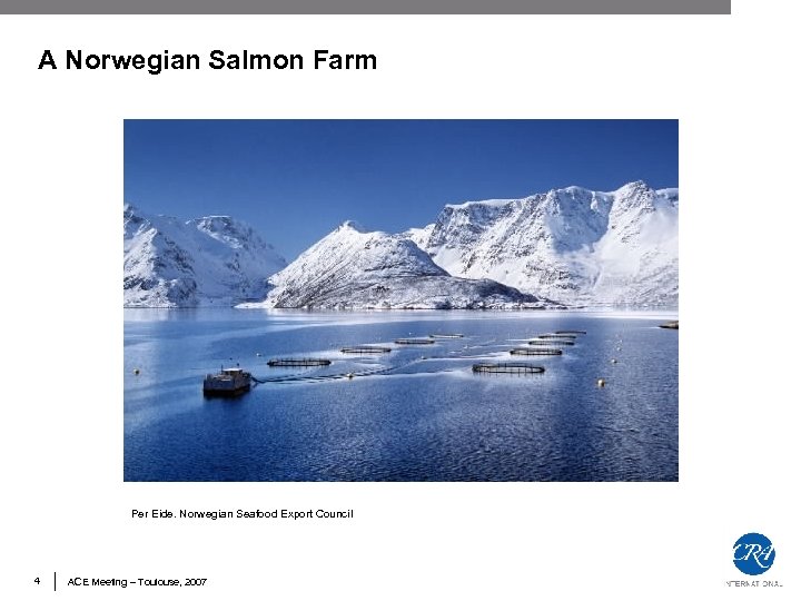 A Norwegian Salmon Farm Per Eide. Norwegian Seafood Export Council 4 ACE Meeting –