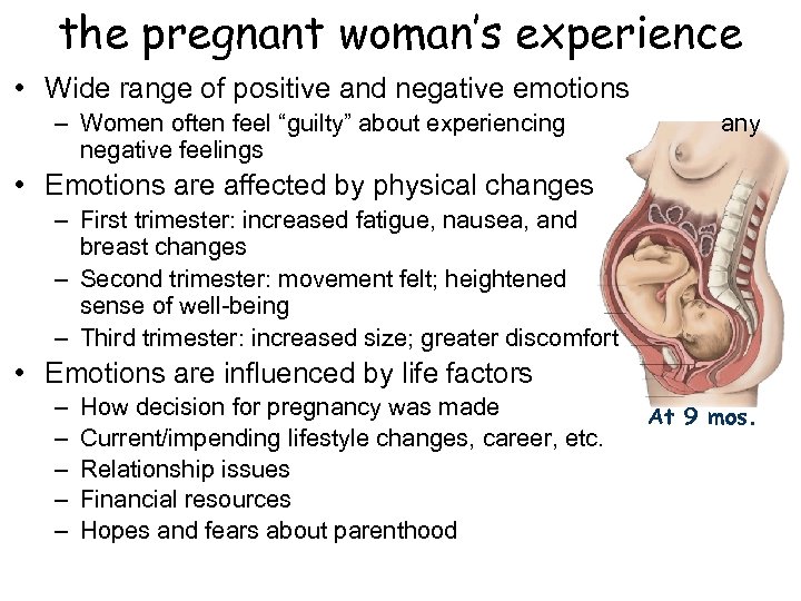 the pregnant woman’s experience • Wide range of positive and negative emotions – Women