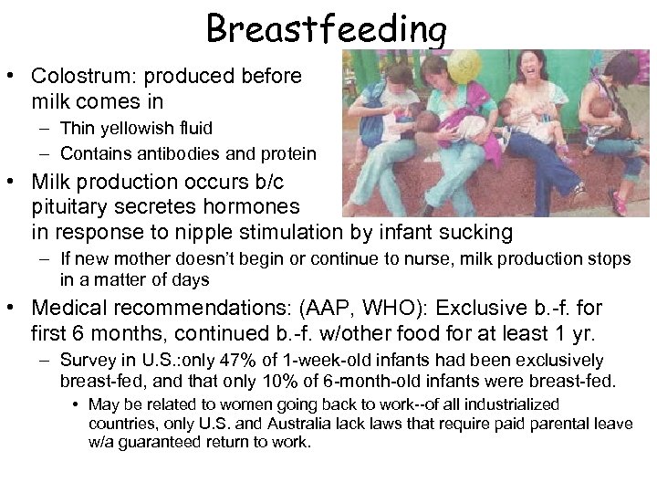 Breastfeeding • Colostrum: produced before milk comes in – Thin yellowish fluid – Contains