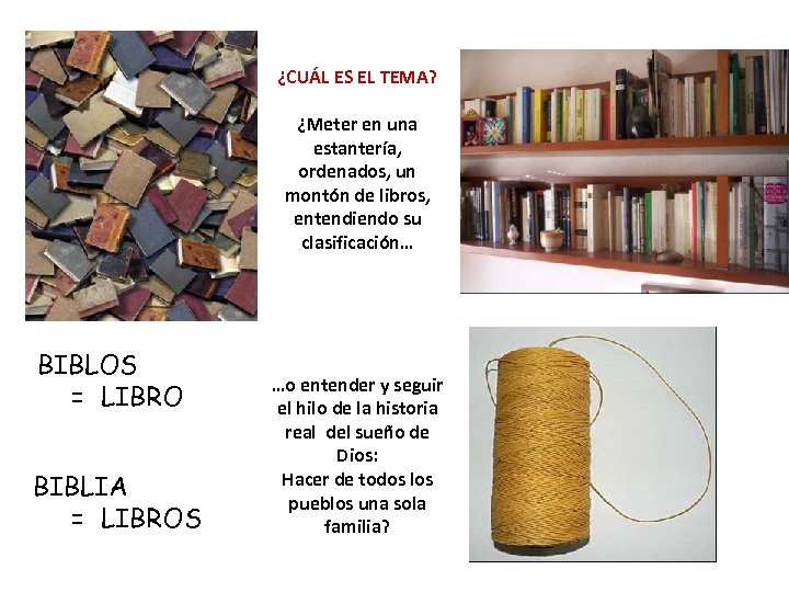 ¿CUÁL ES EL TEMA? ¿Meter en una estantería, ordenados, un montón de libros, entendiendo