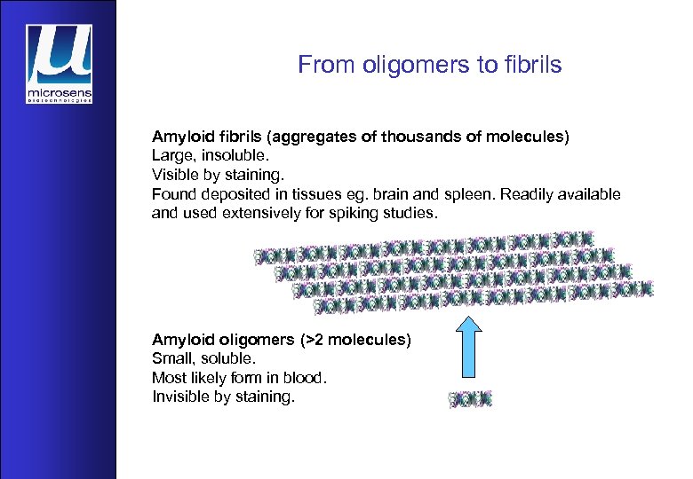 From oligomers to fibrils Amyloid fibrils (aggregates of thousands of molecules) Large, insoluble. Visible