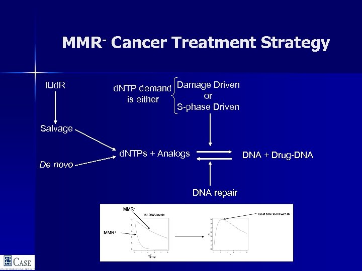 MMR- Cancer Treatment Strategy IUd. R d. NTP demand Damage Driven or is either