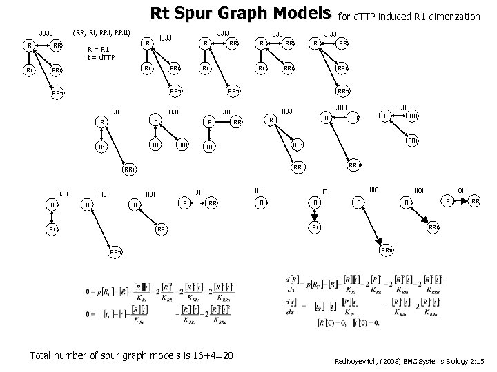 Rt Spur Graph Models (RR, Rt, RRtt) JJJJ R Rt R RRt R =