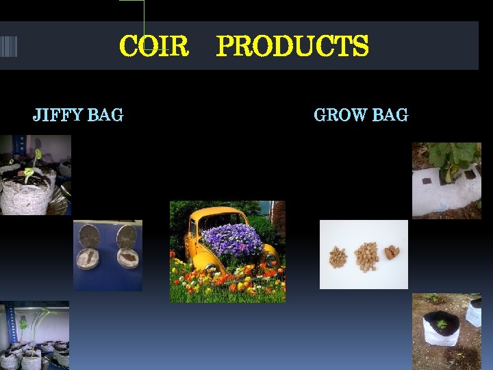 COIR PRODUCTS JIFFY BAG GROW BAG 