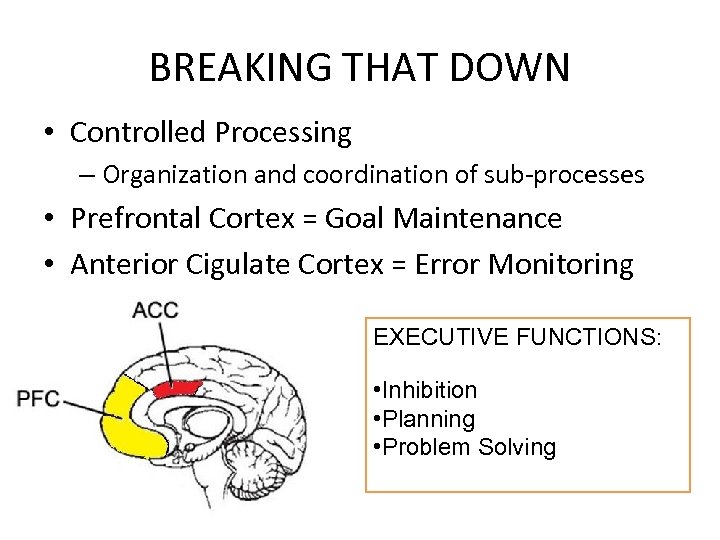 BREAKING THAT DOWN • Controlled Processing – Organization and coordination of sub-processes • Prefrontal