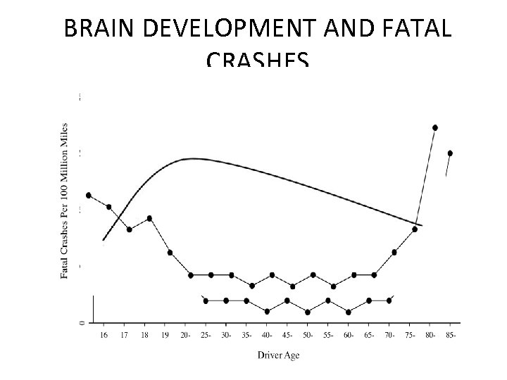 BRAIN DEVELOPMENT AND FATAL CRASHES 