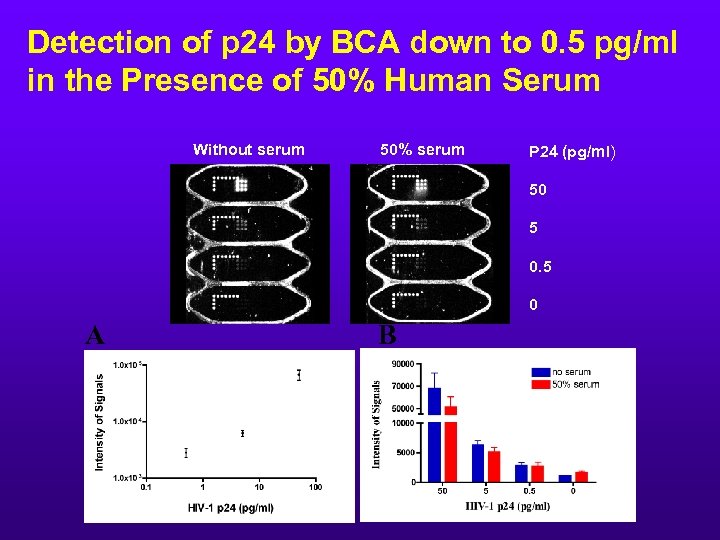 Detection of p 24 by BCA down to 0. 5 pg/ml in the Presence