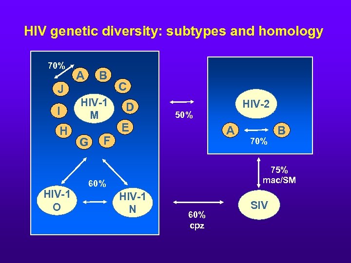 HIV genetic diversity: subtypes and homology 70% A B J I H HIV-1 O