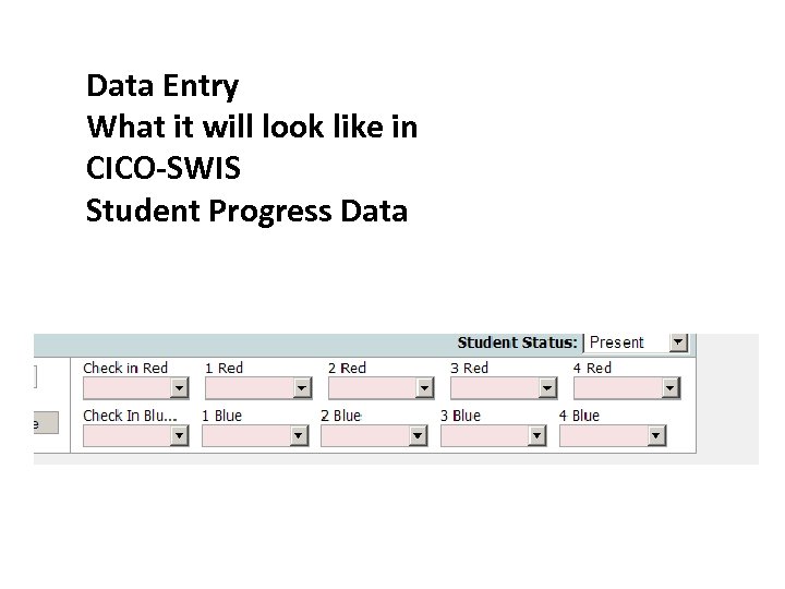 Data Entry What it will look like in CICO-SWIS Student Progress Data 