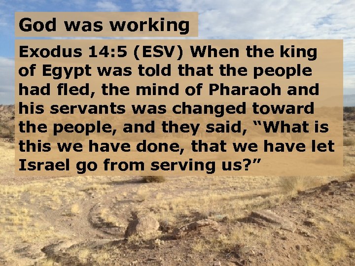 God was working Exodus 14: 5 (ESV) When the king of Egypt was told